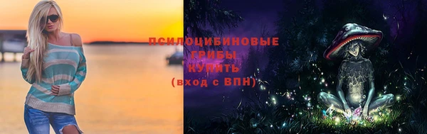 ГАЛЛЮЦИНОГЕННЫЕ ГРИБЫ Балабаново