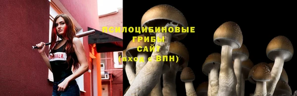 гашиш Осинники